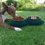Pet Dog Bowls 2 Stainless Steel Dog Bowl with No Spill Non-Skid Silicone Mat + Pet Food Scoop Water and Food Feeder Bowls for Feeding Small Medium Large Dogs Cats Puppies Pet Dog Bowls 2 Stainless Steel Dog Bowl with No Spill Non-Skid Silicone Mat + Pet Food Scoop Water and Food Feeder Bowls for Feeding Small Medium Large Dogs Cats Puppies