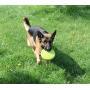 Jalousie Dog Plush Toy and Rope Toy Combos Dog Squeaky Toys for Small Medium Dog Puppy Mutt