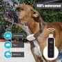Epioneer Dog Shock Collar for 2 Dogs, Waterproof Rechargeable Electric Dog Training Collar with Remote for Small Medium Large Dogs,with 3 Training Modes