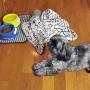 Bone Dry Embossed Bone Print Pet Blanket