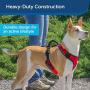 PetSafe EasySport Dog Harness, Adjustable Padded Dog Harness with Control Handle and Reflective Piping
