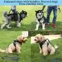 Easy Lock Dog Harness and Leash Set for Small Large Dogs Puppy Breed, Magnetic Clasp Reflective Vest with Training Leash One Hand Easily Connect