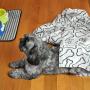 Bone Dry Embossed Bone Print Pet Blanket