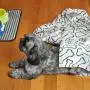 Bone Dry Embossed Bone Print Pet Blanket