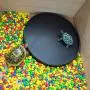 OMEM Reptile Food Bowl,Water Dish,Turtle Feeder,Feeding Dish,Food Container