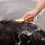 DELE Dog Massage Brush, Curry Comb for Dogs, Pet Bath Brush with Memory Gel Shedding Tools for Short to Long Smooth Hair