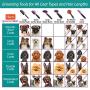 Hartz Groomers Best Combo Detangling Dog Brush