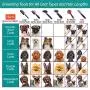 Hartz Groomers Best Flea Comb for Cats and Dogs