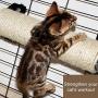 IXI Cat Scratching Post - The Cat Scratching Pole Designed for Cage Cat Scratcher Made by Sisal Cat Cage Scratching Post Cat Furniture
