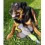 SmartPetLove - Tender-Tuffs - Play Fetch or Tug-of-War - Flying Duck Durable Plush Dog Toy with Squeaker