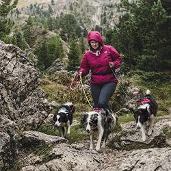 Hurtta Active Dog Harness