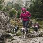 Hurtta Active Dog Harness