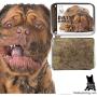 The Blissful Dog Dirty Dog Boxer Bar Soap