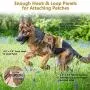 rabbitgoo Tactical Dog Harness and Bungee Dog Leash Set for Large Medium Dogs, Molle Vest for Service & Training Military Dogs Adjustable Training Hunting Dog Tactical Vest, Tan, L, Chest (31.5-41.3”)