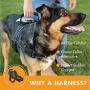 Friends Forever No Pull Dog Harness Large Breed - Harnesses for Large Dogs, Black Dog Vest with Handle & 3M Reflective Material for Extra Control and Safety Friends Forever No Pull Dog Harness Large Breed - Harnesses for Large Dogs, Black Dog Vest with Handle & 3M Reflective Material for Extra Control and Safety