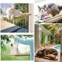 Window Cat Bed, Angela&Alex Cat Window Seat Window Perch Bed Hammock with 2 Extra Replaceable Suction Cups Space Saving All-Around 360° Sunbath Holds Up to 55 lbs for Any Cat Size