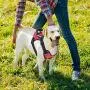 Vovodog Service Dog Harness, Adjustable No-Pull Pet Vest Harness, Comfortable Padded Dog Training Vest, Mesh Design with Hook and Handle for Small Medium Large Dogs