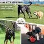 NEDOGEX Dog Rope Toys for Aggressive Chewers Medium Dogs Indestructible Tug Toy for Dogs Tough Rope for Pressure Relief and Teeth Cleaning 3 Pack NEDOGEX Dog Rope Toys for Aggressive Chewers Medium Dogs Indestructible Tug Toy for Dogs Tough Rope for Pressure Relief and Teeth Cleaning 3 Pack
