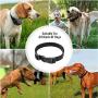Bark Collar for Pet Training Shock Chain Anti-Bark Remote Control Punish Shock Warning 3 in 1