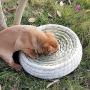 LWINGFLYER Big Bowl-Shaped Cat Scratch Board Pad Straw Pet Nest Bed Toy Supplies Rattan Bed Hand-Woven Cat Litter Cat Scratch Box Cat Favorite