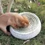LWINGFLYER Big Bowl-Shaped Cat Scratch Board Pad Straw Pet Nest Bed Toy Supplies Rattan Bed Hand-Woven Cat Litter Cat Scratch Box Cat Favorite LWINGFLYER Big Bowl-Shaped Cat Scratch Board Pad Straw Pet Nest Bed Toy Supplies Rattan Bed Hand-Woven Cat Litter Cat Scratch Box Cat Favorite