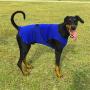 DOGZSTUFF Dog Cooling Vest. Lightweight Jacket with Evaporative Cool Microfiber Technology, UV Protection Shirt, Sizing for Small, Medium and Large Dogs