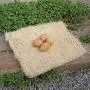 Petmate Precision Pet Excelsior Nesting Pads Chicken Bedding - 13x13 Inches - Package of 10 Petmate Precision Pet Excelsior Nesting Pads Chicken Bedding - 13x13 Inches - Package of 10