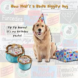 Haute Diggity Dog Yip Yip Hooray Collection | Unique Squeaky Parody Plush Dog Toys – Celebrate with Pupcakes!