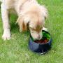 Dprofy Portable Collapsible Dog Travel Bowls - Lightweight Foldable Dog Water Bowl with Zipper, for Small/Large Pet Cat Food Water Feeding Portable Travel Bowl