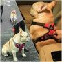 FUNFLOWERS Dog Harness No-Pull Adjustable Pet Vest Durable Polyester Material Dog Chest Strap with Reflective Strips Easy Control Training Harness for Small Medium Large Dog, 4 Colors