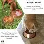 Melzon Petsentials Non-Skid Stylish Food Bowl for Your Pet, Premium Grade Stainless Steel - Elegant Bronze Melzon Petsentials Non-Skid Stylish Food Bowl for Your Pet, Premium Grade Stainless Steel - Elegant Bronze