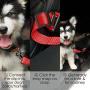 4 Pack Adjustable Pet Dog Cat Seat Belt, YuCool Safety Leads Vehicle Car Harness Seat Tether,Nylon Fabric- Black,Blue, Red, Purple