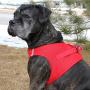 DOGGIE DESIGN Choke Free Reflective Step in Ultra Harness Pink American River