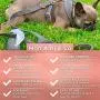 Designer Dog Collar, Harness & Leash Set for Large Dogs + Poop Bag Dispenser - No-pull Dog Harness Set Rose Gold & Reflective piping details - Extra Long Shoulder Leash for walking, jogging & training