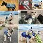 Strangefly Dog Jean Jacket, Blue Puppy Denim T-Shirt, Machine Washable Dog Clothes, Comfort and Cool Apparel, for Small Medium Dogs Pets and Cats (XS, Blue) Strangefly Dog Jean Jacket, Blue Puppy Denim T-Shirt, Machine Washable Dog Clothes, Comfort and Cool Apparel, for Small Medium Dogs Pets and Cats (XS, Blue)