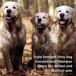 Veterinary Formula Solutions Triple Strength Dirty Dog Concentrated Shampoo – DirtRepel Technology Cleans Extra Dirty and Smelly Dogs – With Wheat Protein, Shea Butter, Aloe, Vitamin E (17oz)