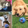 Petbobi Upgrade Dog Toys Interactive Monster Plush Giggle Ball Shake Squeak Crazy Bouncer Toys Exercise Electronic Toy for Puppy Motorized Entertainment for Pets