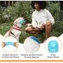 Dog Toys Puppy Chew Toys Teething Dog Bones Durable Tough Interactive Toys for Small and Medium Dogs Best Dog Birthday Gifts - 2 Pack Dog Toys Puppy Chew Toys Teething Dog Bones Durable Tough Interactive Toys for Small and Medium Dogs Best Dog Birthday Gifts - 2 Pack