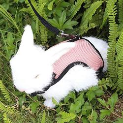 Pettom Bunny Rabbit Harness with Stretchy Leash Cute Adjustable Buckle Breathable Mesh Vest for Kitten Small Pets Walking