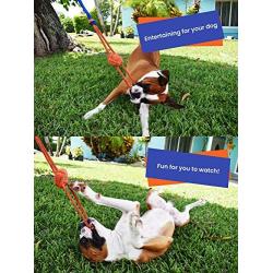 Fenidog Outdoor Bungee Hanging Dog Toy, Interactive Tether Tug Toy for Pitbull & Small to Large Dogs, Ideal for Exercise & Solo Play, Play Tug War, Extra Durable & Safe with 2 Chew Rope Toys