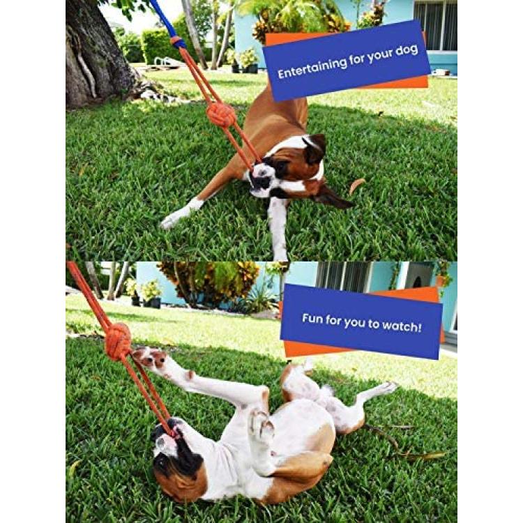 Interactive Tug Toy for Dogs, Outdoor Dog Toy