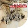XFasten Anti-Scratch Cat Training Tape, Clear, 2.5-Inches x 15 Yards