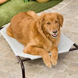 Coolaroo Elevated Pet Bed -