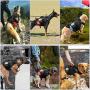PET ARTIST Tactical Dog Harness for Hiking Training, No Pull Vest Harness for Medium Large Dogs, with Pouches and Patches