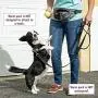 Leashboss PackUp Pouch Dog Treat Training Fanny Pack (Gray) with 120 Bags, 8 Rolls Unscented Leak Proof Gray Poop Bags Leashboss PackUp Pouch Dog Treat Training Fanny Pack (Gray) with 120 Bags, 8 Rolls Unscented Leak Proof Gray Poop Bags