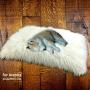 Dog Bed, Padded, Shag, DogNappers Brand, Plush Faux Fur Dog Bed, Cat Ma,Soft Padded Shaggy Pet Bed,Mongolian Fur, 4 Colors, Sizes
