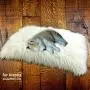 Dog Bed, Padded, Shag, DogNappers Brand, Plush Faux Fur Dog Bed, Cat Ma,Soft Padded Shaggy Pet Bed,Mongolian Fur, 4 Colors, Sizes Dog Bed, Padded, Shag, DogNappers Brand, Plush Faux Fur Dog Bed, Cat Ma,Soft Padded Shaggy Pet Bed,Mongolian Fur, 4 Colors, Sizes