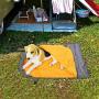 KUDES Dog Sleeping Bag Waterproof Warm Packable Dog Bed with Storage Bag for Indoor Outdoor Travel Camping Hiking Backpacking (43Lx27W)
