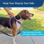 PetSafe 3 in 1 Harness - No-Pull Dog Harness - for X-Small, Small, Medium and Large Breeds - from the Makers of the Easy Walk Harness