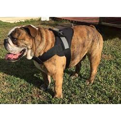 HDP Big Dog Soft No Pull Harness